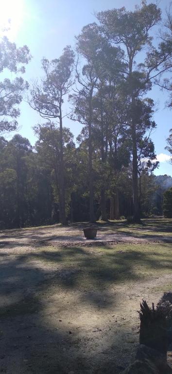 Rail Trail Retreat - Kingaroy Accommodation 2