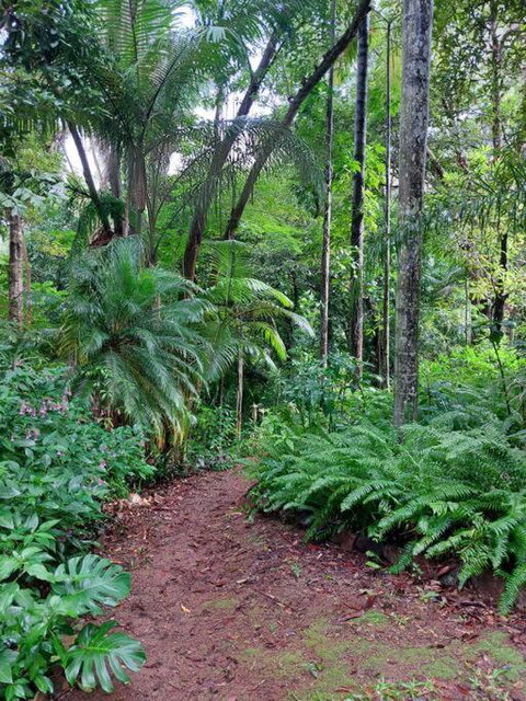 Rainforest Retreat-Fireplace-BBQ-3 Acres- - Kingaroy Accommodation 0