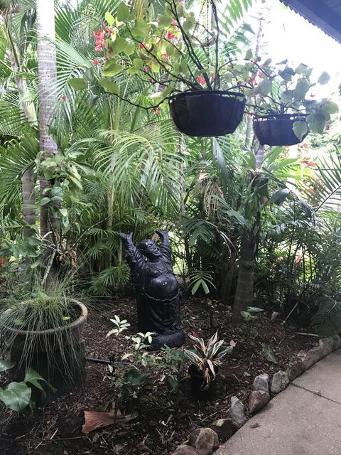 Bali Inspired Hideaway With Tropical Villa & Plunge Pool - Kingaroy Accommodation 3