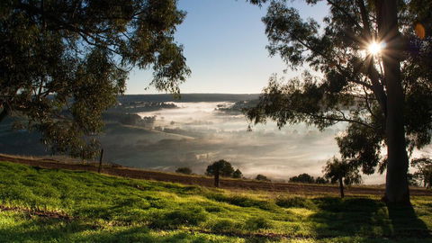 Balingup Heights Hilltop Forest Cottages - Kingaroy Accommodation 0