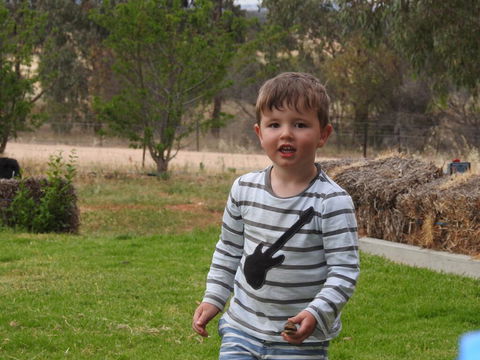 Barklysuites Apartments - Kingaroy Accommodation 1