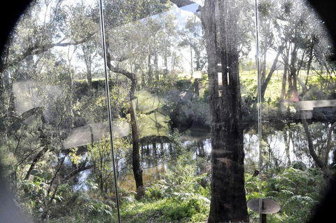 Barrabup Sanctuary BirdHide - Kingaroy Accommodation 1