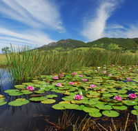 Barrington Hideaway- River Cottages - Kingaroy Accommodation