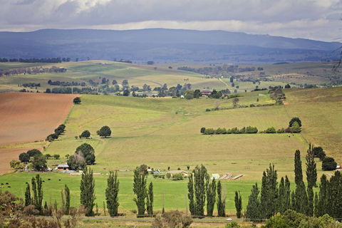Bathurst Goldfields Motel - Kingaroy Accommodation 2