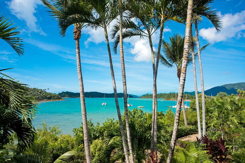 Baybliss Apartments Studio 1 - Kingaroy Accommodation 2