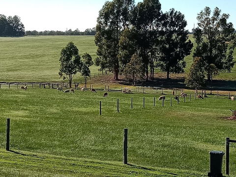 Redtail Ridge Cottages - Kingaroy Accommodation 1