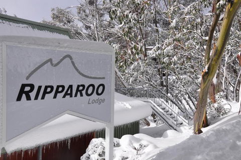 Ripparoo Lodge - Kingaroy Accommodation 0