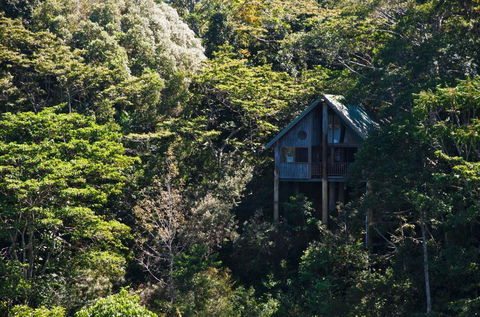 Rose Gums Wilderness Retreat - Kingaroy Accommodation 1