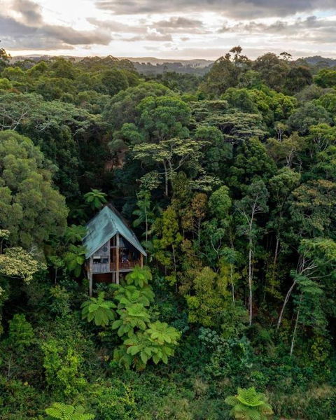 Rose Gums Wilderness Retreat - Kingaroy Accommodation 0