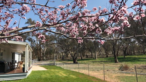 Rosewood Cottage - Kingaroy Accommodation 3