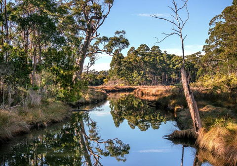 Saintys Creek Cottage - Kingaroy Accommodation 3