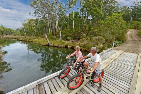 Saintys Creek Cottage - Kingaroy Accommodation 2