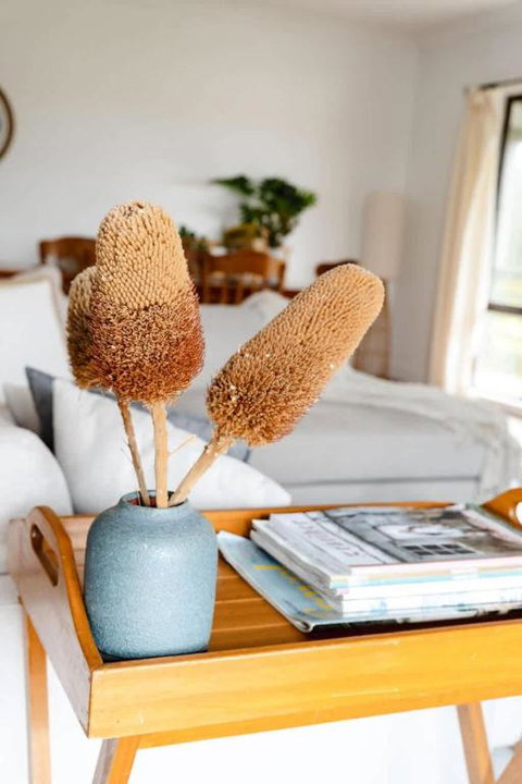 Salt Bush Cottage Peterborough - Kingaroy Accommodation 1