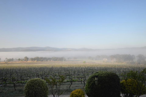 Sancerre Estate - Kingaroy Accommodation 3