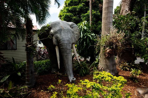 Sarina Palms Caravan And Cabins Village - Kingaroy Accommodation 3