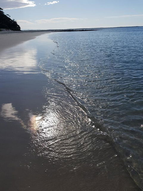 Beachside Husky - Waterfront - Kingaroy Accommodation 3