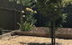 Beatty Cottage - thumb 2