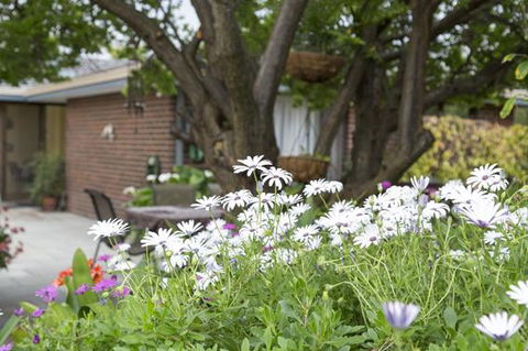 Bed And Breakfast In Perth - Kingaroy Accommodation 1