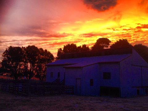 Beggs Farmstay B&B - Kingaroy Accommodation 1