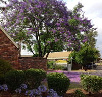 Belvoir Village Motel  Apartments Wodonga - Kingaroy Accommodation
