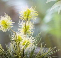 Bessou - Kingaroy Accommodation