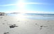 Bicheno On The Beach - thumb 1