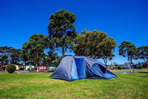 BIG4 Traralgon Park Lane Holiday Park - Kingaroy Accommodation 2