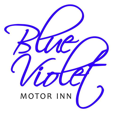 Blue Violet Motor Inn - Kingaroy Accommodation 3