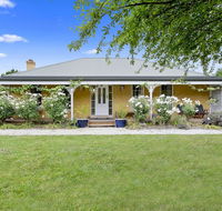 Blue Wren - Kingaroy Accommodation