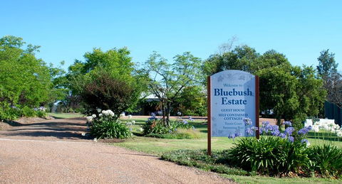 Bluebush Estate - Kingaroy Accommodation 0