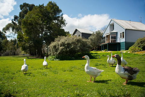 Boatshed Villa Green Door - Kingaroy Accommodation 3