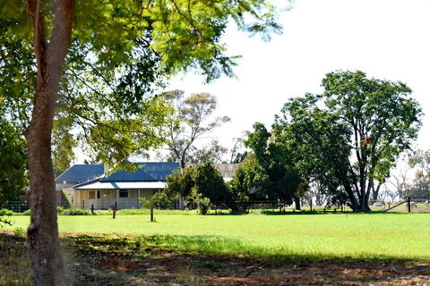 The Jetty Hut - Lake Frontage Barmera Riverland - Kingaroy Accommodation 2