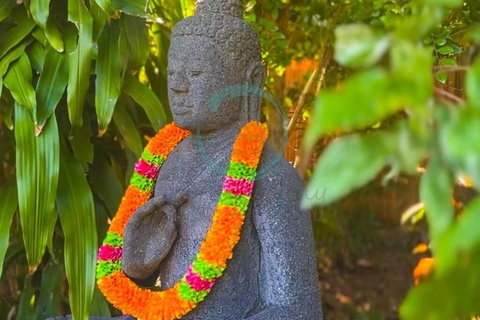 Zenhouse: 6-BR Balinese Tropical Oasis In Nightcliff Central - Kingaroy Accommodation 3