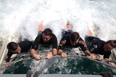 Cruise In Moreton Bay Marine Park And Moreton Island - Kingaroy Accommodation 0