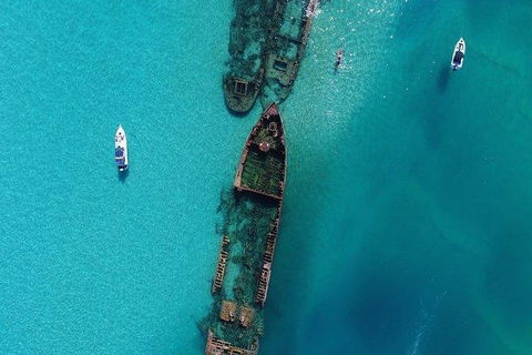 Cruise In Moreton Bay Marine Park And Moreton Island - Kingaroy Accommodation 1