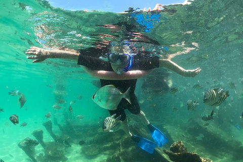 Cruise In Moreton Bay Marine Park And Moreton Island - Kingaroy Accommodation 5