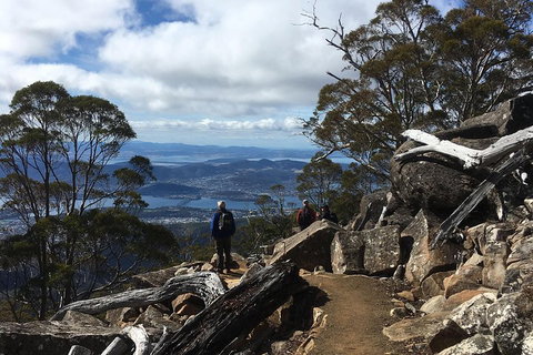 Kunanyi / Mt Wellington Explorer Bus - 2 Hour Return Tour - Kingaroy Accommodation 0