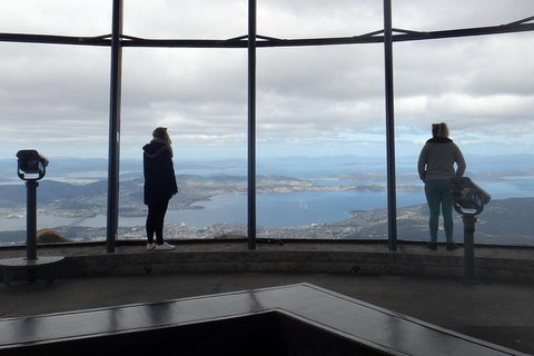Kunanyi / Mt Wellington Explorer Bus - 2 Hour Return Tour - Kingaroy Accommodation 1