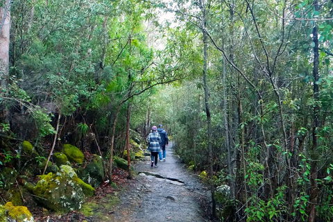 Kunanyi / Mt Wellington Explorer Bus - 2 Hour Return Tour - Kingaroy Accommodation 2