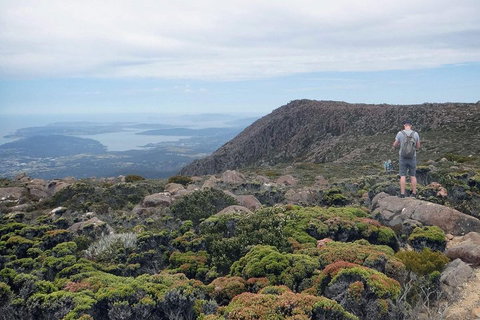 Kunanyi / Mt Wellington Explorer Bus - 2 Hour Return Tour - Kingaroy Accommodation 3