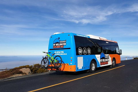 Kunanyi / Mt Wellington Explorer Bus - 2 Hour Return Tour - Kingaroy Accommodation 4