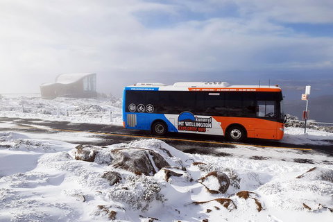 Kunanyi/Mt Wellington Tour & Hobart Hop-On Hop-Off Bus - Kingaroy Accommodation 2