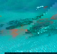 Private Tangalooma Wrecks Tour - Kingaroy Accommodation