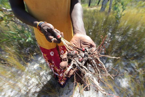 Gay-Wu Woman's 5 Day Yolngu Homeland Tour - Kingaroy Accommodation 0