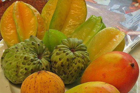 Cairns 4WD Waterfall And Rainforest Tour Including Kuranda Scenic Railway - Kingaroy Accommodation 4