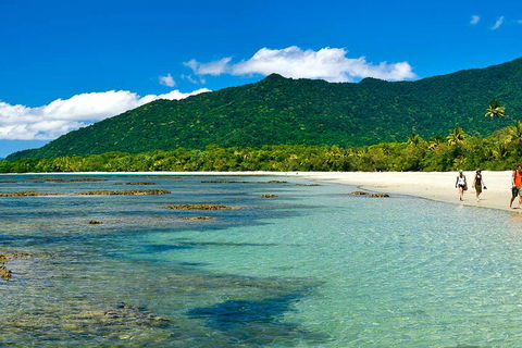 8-Day Cairns Tour: Great Barrier Reef, Kuranda, Daintree Rainforest - Kingaroy Accommodation 0