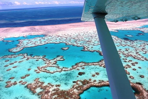 8-Day Cairns Tour: Great Barrier Reef, Kuranda, Daintree Rainforest - Kingaroy Accommodation 2