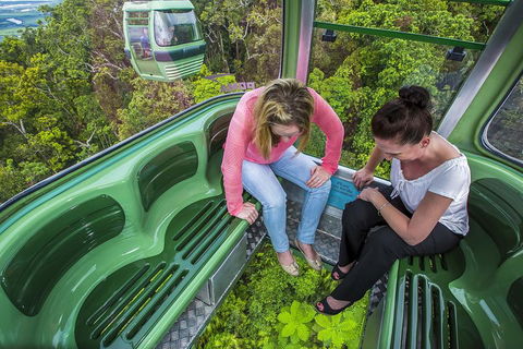 8-Day Cairns Tour: Great Barrier Reef, Kuranda, Daintree Rainforest - Kingaroy Accommodation 3