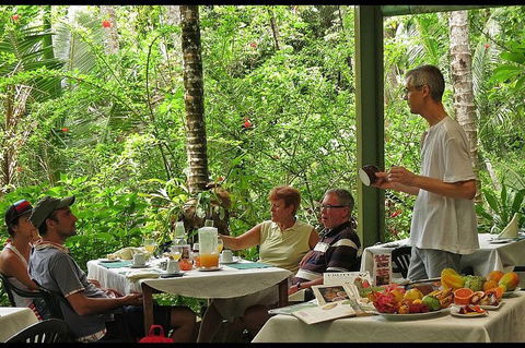 8-Day Cairns Tour: Great Barrier Reef, Kuranda, Daintree Rainforest - Kingaroy Accommodation 4