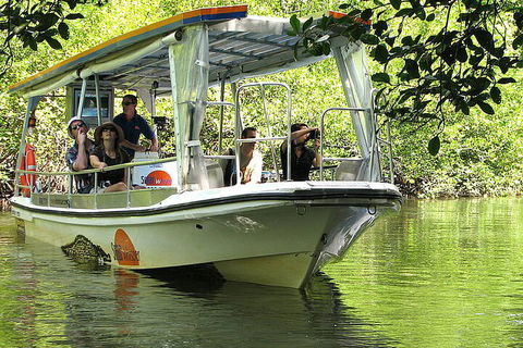 8-Day Cairns Tour: Great Barrier Reef, Kuranda, Daintree Rainforest - Kingaroy Accommodation 5
